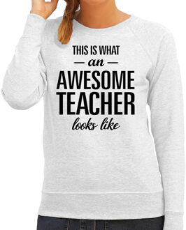 Bellatio Decorations This is what an awesome teacher looks like cadeau sweater / trui grijs dames L