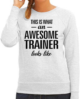 Bellatio Decorations This is what an awesome trainer looks like cadeau sweater / trui grijs dames M