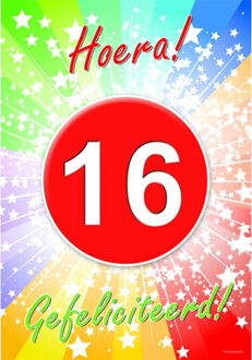 Bellatio Decorations Verjaardag deurposter - 16 jaar - 59 x 42 cm - leeftijd feestartikelen Multi