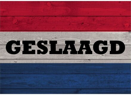 Bellatio Decorations Vintage poster met geslaagd Nederlandse vlag 84 cm - Feestposters Multikleur