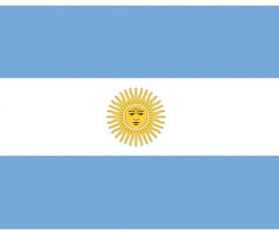 Bellatio Decorations Vlag van Argentinie plakstickers Multi