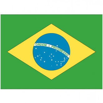 Bellatio Decorations Vlag van Brazilie stickers - 7 x 10 cm - Landen - Braziliaanse vlaggetjes Multi