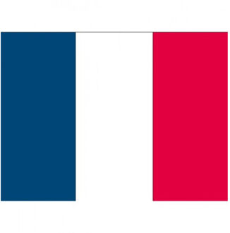 Bellatio Decorations Vlag van Frankrijk stickers - 10x stuks - 7 x 10 cm - La France - Franse vlaggetjes Multi