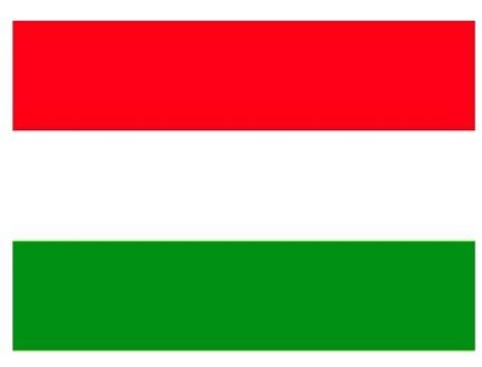 Bellatio Decorations Vlag van Hongarije stickers - 10x - 7 x 10 cm - Landen - Hongaarse vlaggetjes