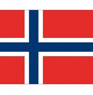 Bellatio Decorations Vlag van Noorwegen plakstickers Multi