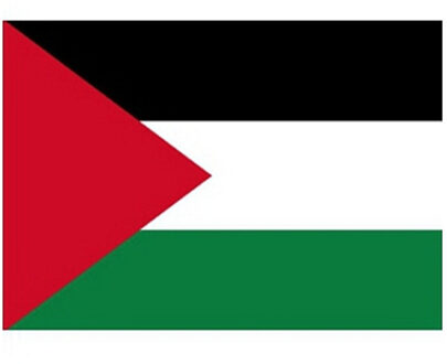 Bellatio Decorations Vlag van Palestina stickers - 7.5 x 10 cm - Binnen/buiten Multi