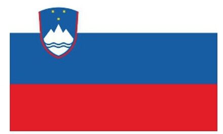 Bellatio Decorations Vlag van Slovenie plakstickers Multi