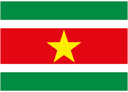 Bellatio Decorations Vlag van Suriname stickers - 10x stuks - 7.5 x 10 cm - Binnen/buiten