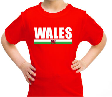 Bellatio Decorations Wales / UK supporter t-shirt rood voor kids L (146-152)