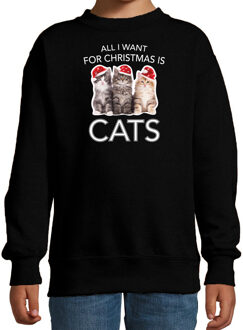 Bellatio Decorations Zwarte Kersttrui / Kerstkleding All I want for christmas is cats voor kinderen 12-13 jaar (152/164) - kerst truien kind