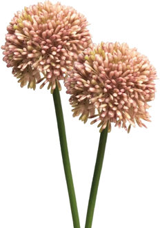 Bellatio Design Allium/Sierui Globemaster kunstbloem - 2x - losse steel - roze - 44 cm - Natuurlijke uitstraling