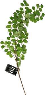 Bellatio Design Kunstbloem bladgroen tak Acacia - 90 cm - boeket opvulling - groen - kunst zijdebloe