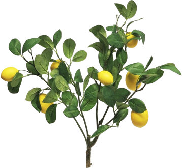 Bellatio Design Kunstbloem citrusfruit tak citroen - 60 cm - geel - losse steel - Kunst zijdebloemen