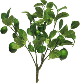 Bellatio Design Kunstbloem citrusfruit tak limoen - 60 cm - groen - losse steel - Kunst zijdebloemen