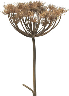 Bellatio Design Kunstbloem/kunsttak Berenklauw/heracleum - 98 cm - losse steel - kunst zijdebloem takken Bruin