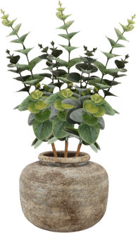 Bellatio Design Kunstbloem/kunsttak Eucalyptus Bella - 3x - 38 cm - donkergroen - kunst zijdebloemen