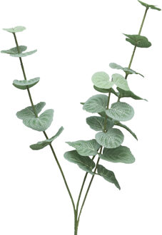 Bellatio Design Kunstbloem/kunsttak Eucalyptus Cinera - 38 cm - 3 takken - kunst zijdebloemen Groen