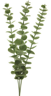 Bellatio Design Kunstbloem/kunsttak Eucalyptus Cinera - 60 cm - 3 takken - kunst zijdebloemen Groen
