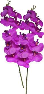 Bellatio Design Kunstbloem Orchidee Bora - 2x - fuchsia - 108 cm - losse steel - kunst zijdebloem - Phalaenopsis