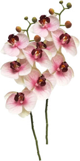 Bellatio Design Kunstbloem Orchidee Bora - 3x - roze - 58 cm - losse steel - kunst zijdebloem - Phalaenopsis