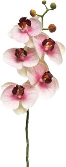 Bellatio Design Kunstbloem Orchidee Bora - roze - 58 cm - losse steel - kunst zijdebloemen- Phalaenopsis