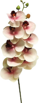 Bellatio Design Kunstbloem Orchidee Bora - roze - 77 cm - losse steel - kunst zijdebloem - Phalaenopsis