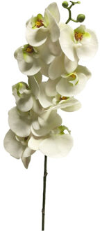 Bellatio Design Kunstbloem Orchidee Bora - wit - 108 cm - losse steel - kunst zijdebloem - Kunstbloemen