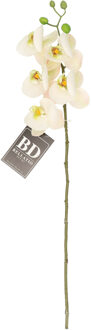 Bellatio Design Kunstbloem Orchidee Bora - wit - 58 cm - losse steel - kunst zijdebloem - Kunstbloemen