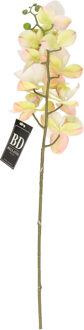 Bellatio Design Kunstbloem Orchidee Bora - wit - 77 cm - losse steel - kunst zijdebloem - Kunstbloemen