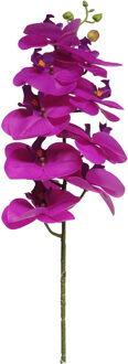 Bellatio Design Kunstbloem Orchidee - fuchsia - 77 cm - losse steel - Kunstbloemen Roze