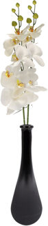 Bellatio Design Kunstbloem Orchidee Milan - 2x - creme - 78 cm - losse steel - kunst zijdebloem - Phalaenopsis