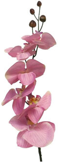 Bellatio Design Kunstbloem Orchidee Milan - roze - 78 cm - losse steel - kunst zijdebloem - Phalaenopsis