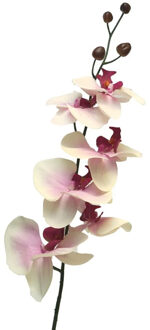 Bellatio Design Kunstbloem Orchidee Milan - wit/roze - 78 cm - losse steel - kunst zijdebloem - Phalaenopsis