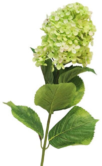 Bellatio Design Kunstbloem Pluimhortensia/hydrangea XL - 85 cm - lichtgroen - kunst zijdebloem - Kunstbloemen