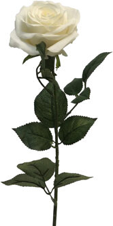 Bellatio Design Kunstbloem Roos Dijon - 8x - 64 cm - creme - zijde - kunstbloemen