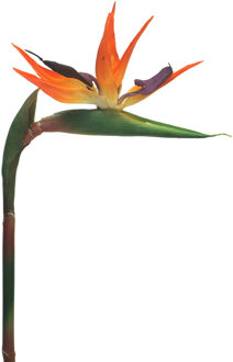 Bellatio Design Kunstbloem Strelitzia - 84 cm - losse tak - kunst zijdebloem - Paradijsvogelplant - Kunstbloemen Oranje