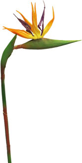 Bellatio Design Kunstbloem Strelitzia/paradijsvogelplant - 58 cm - losse steel - kunst zijdebloem Oranje
