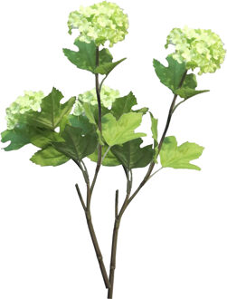 Bellatio Design Kunstbloem Viburnum/sneeuwbal Roseum - 3x - 50 cm - groen - losse steel - kunst zijdebloemen