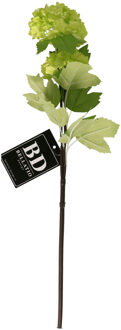 Bellatio Design Kunstbloem Viburnum/sneeuwbal Roseum - 50 cm - groen - losse steel - kunst zijdebloemen