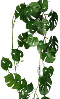 Bellatio Design kunstplant/hangplant slinger - 2x - Monstera - groen - 180 cm
