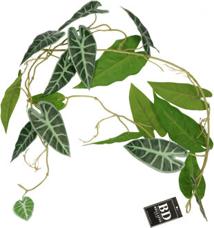 Bellatio Design kunstplant/hangplant slinger - Alocasia - groen - 105 cm