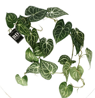 Bellatio Design kunstplant/hangplant slinger - Anthurium - groen - 109 cm