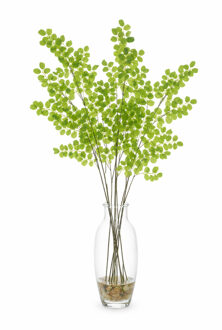 Bellatio Design Kunsttak / kunstbloem Button Leaf - 5x - 90 cm - groen - boeket opvulling bladgroen