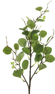 Bellatio Design Kunsttak / kunstbloem Eucalyptus - 92 cm - groen - boeket opvulling bladgroen