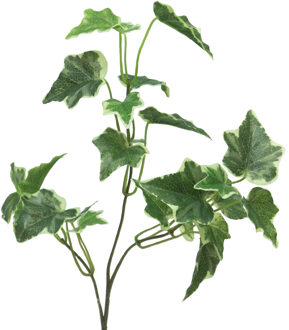 Bellatio Design Kunsttak / kunstbloem Hedera - 55 cm - lichtgroen - boeket opvulling bladlichtgroen