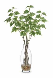 Bellatio Design Kunsttak / kunstbloem Hedera - 5x - 55 cm - lichtgroen - boeket opvulling bladlichtgroen