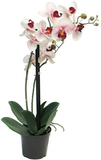 Bellatio Design Orchidee bloemen kunstplant Bora - bloemen/bloemetjes - roze - H50 cm - Phalaenopsis - Kunstplanten