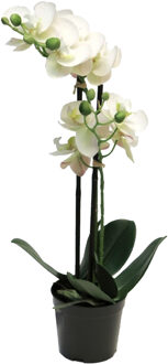 Bellatio Design Orchidee bloemen kunstplant Bora - bloemen/bloemetjes - wit - H50 cm - Phalaenopsis - Kunstplanten