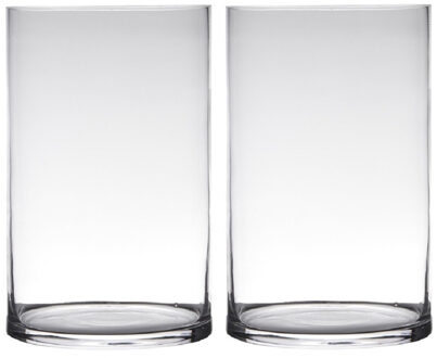 Bellatio Design Set Van 2x Stuks Transparante Home-basics Cylinder Vorm Vaas/vazen Van Glas 30 X 19 Cm - Vazen