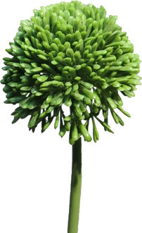 Bellatio Design Sierui Globemaster kunstbloem - losse steel - groen - 44cm - Natuurlijke uitstraling - Kunstbloemen